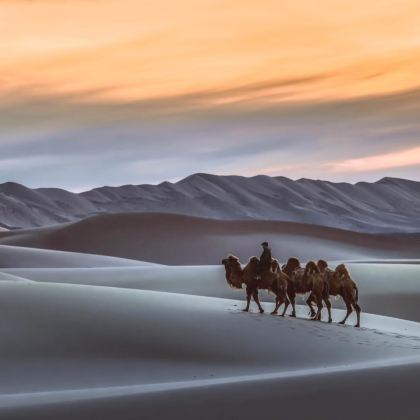 蒙古乌兰巴托+哈拉和林+呼斯泰音国家公园+Mongol Nomadic Camp+成吉思汗大营+成吉思汗骑马雕像7日6晚拼小团