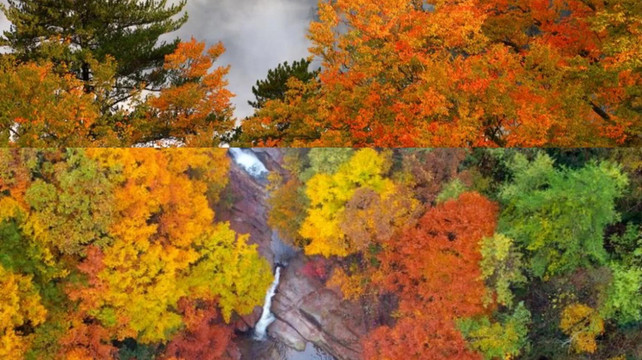 九寨沟旅行社前十强：2025年避坑指南