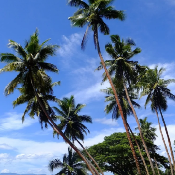 斐济+大溪地10日9晚私家团