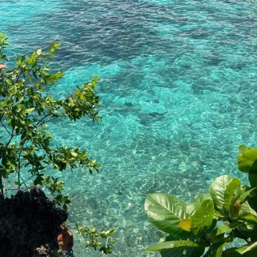 菲律宾宿务+锡基霍尔岛+薄荷岛9日8晚跟团游