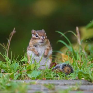 哈尔滨+伊春+五大连池风景区+漠河+齐齐哈尔14日13晚跟团游