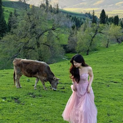 新疆乌鲁木齐+北疆7日6晚私家团