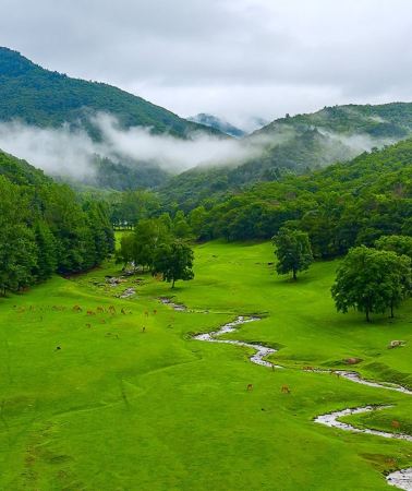 6天5晚 • 哈爾濱＋伊春＋五大連池｜一次旅行，三種截然不同的自然風光，開啟夏季避暑新體驗