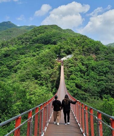 3D2N • 3D Private Seoul Highlight tours with DMZ & Korean Folk Village