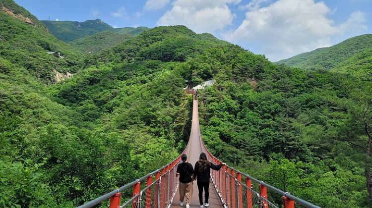 3-Day 3D Private Seoul Highlight tours with DMZ & Korean Folk Village