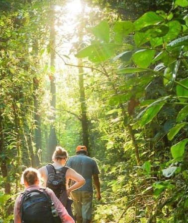 2D1N • Puerto Maldonado: Collpa Chuncho 2-Day Jungle Tour