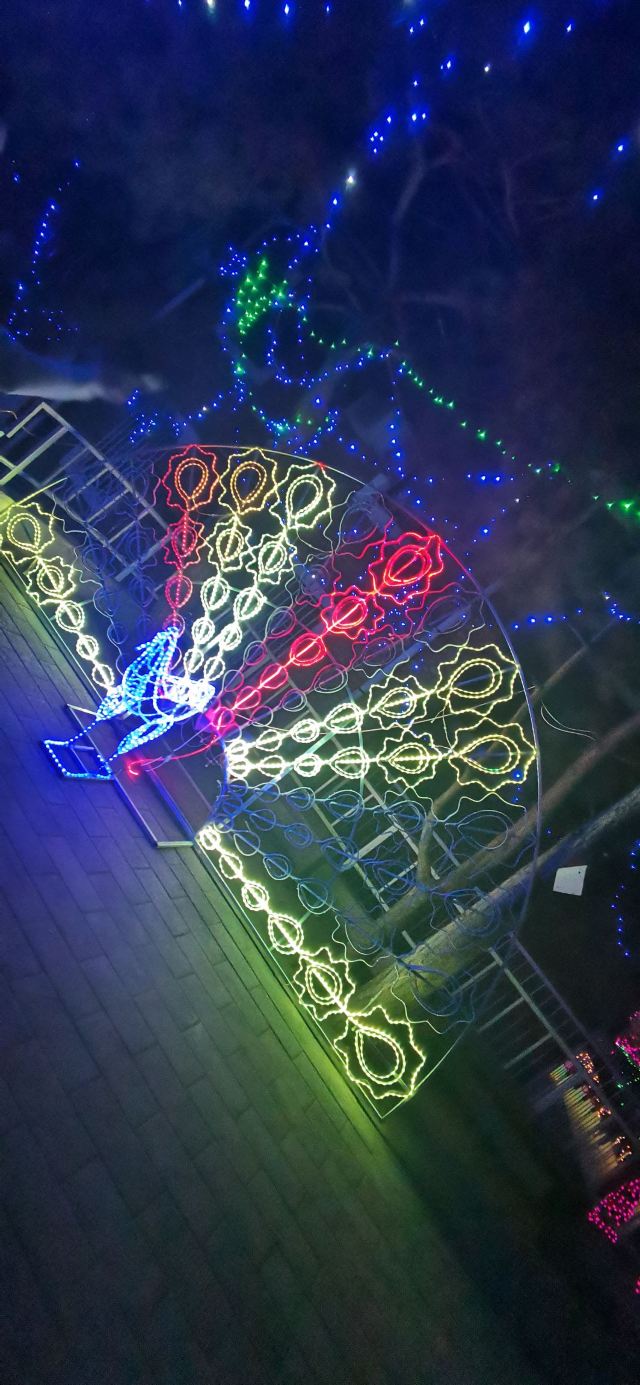 北京生存岛实践基地旅行图片 3