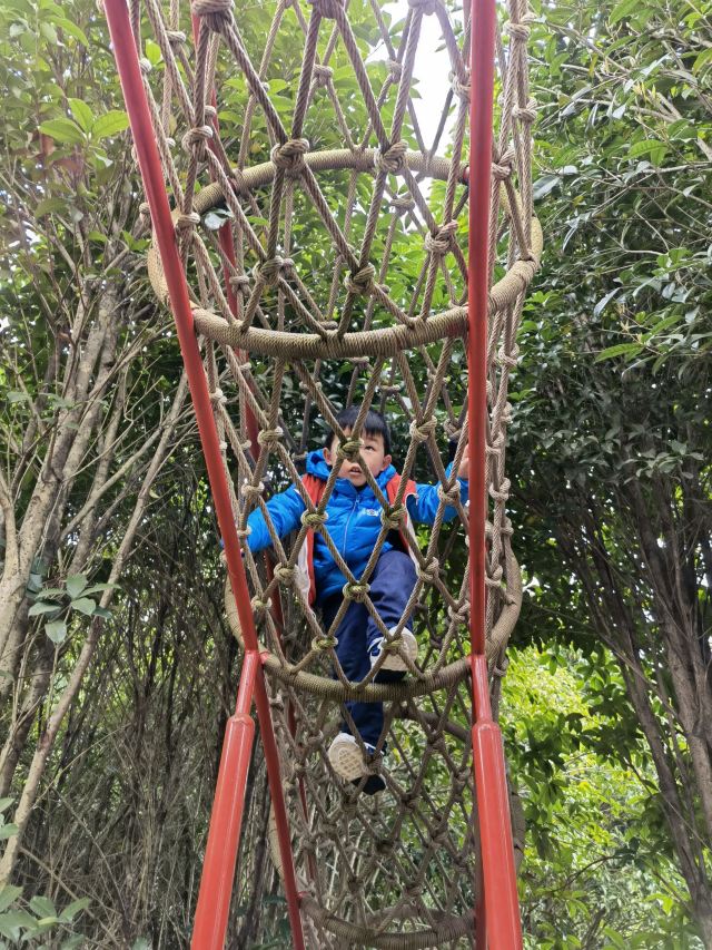 咸宁松鼠部落森林假日公园旅行图片 1