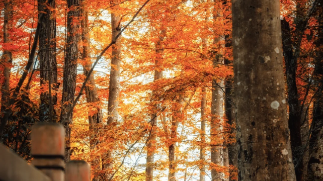 四川色达朝圣攻略，孟鸿带你探秘川西秘境