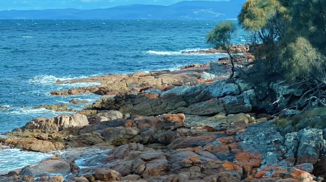 澳大利亞塔斯馬尼亞布魯尼島+酒杯灣+亞瑟港歷史遺址+霍巴特4日3晚跟團遊·極光季+贈一晚南部追光+兩人下單加贈送黃油餅乾+含景點門票+上門接送+中文司導+管家服務+天天發團