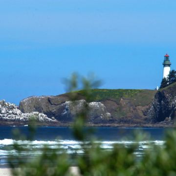 美国洛杉矶4日3晚拼小团