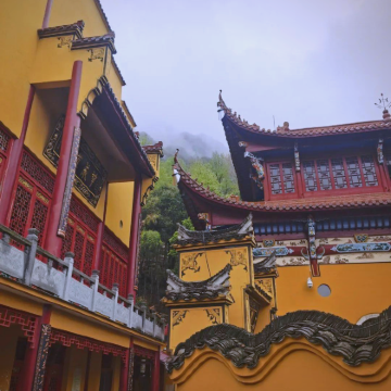 九华山大愿文化园-九华大佛+百岁宫+化城寺+肉身宝殿+天台寺2日1晚私家团