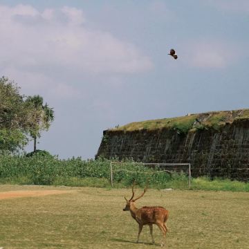 斯里兰卡7日6晚私家团