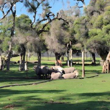 凯恩斯+布里斯班6日5晚私家团