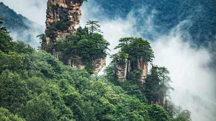 4D3N · Private Tours · Twin Forest Parks & Grand Canyon Karst Scenery Zhangjiajie + Zhangjiajie Grand Canyon + Tianmen Mountain National Forest Park + Zhangjiajie National Forest Park
