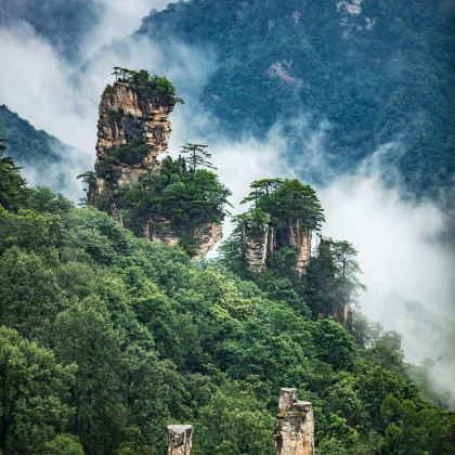 张家界+武陵源+天门山+郴州5日4晚私家团