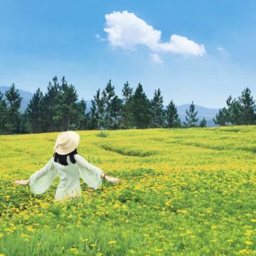 建水+元阳+弥勒+抚仙湖+东川红土地9日8晚自由行