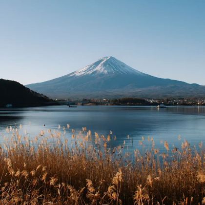 日本6日5晚私家团