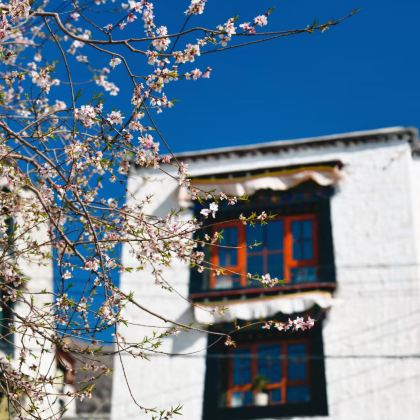 拉萨9日4晚私家团