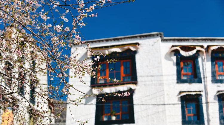 4-Day TibetLhasa + Potala Palace + Jokhang Temple + Sera Monastery + Drepung Monastery