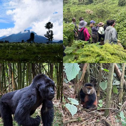 卢旺达6日5晚跟团游