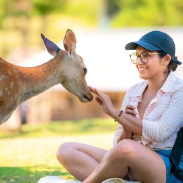 日本大阪+京都6日5晚跟团游