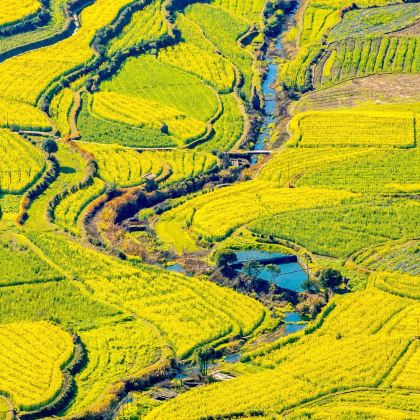 福州三坊七巷+武夷山《印象大红袍》演出+婺源篁岭景区+江岭赏油菜花海8日7晚私家团