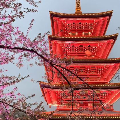 武汉4日3晚私家团