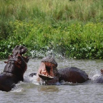 坦桑尼亚+乌干达12日11晚私家团