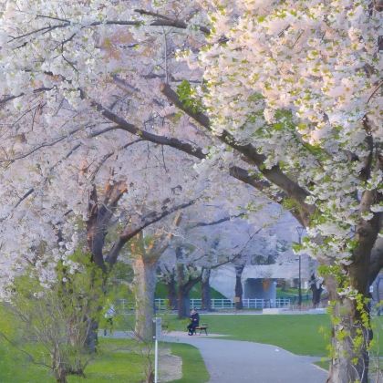 日本北海道札幌+函馆5日4晚拼小团