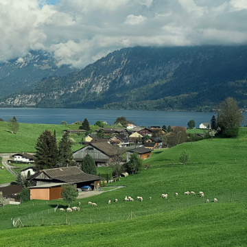 法国+意大利+瑞士+德国+奥地利+荷兰+比利时+卢森堡+匈牙利+列支敦士登+斯洛文尼亚+克罗地亚16日14晚跟团游