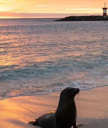 5D4N • Galapagos the Enchanted Islands 5 Days