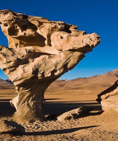2D1N • Salar de Uyuni with Lodging - 2 full days - With Minor Lagoons