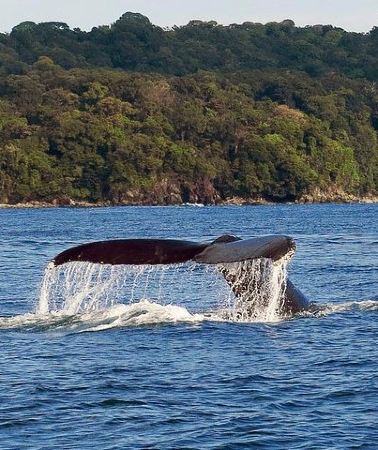 7D6N • COSTA RICA EXPRESS, 6 nights, 7 days