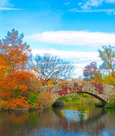7D6N • New York + Philadelphia + Baltimore + Princeton + Boston + Cambridge