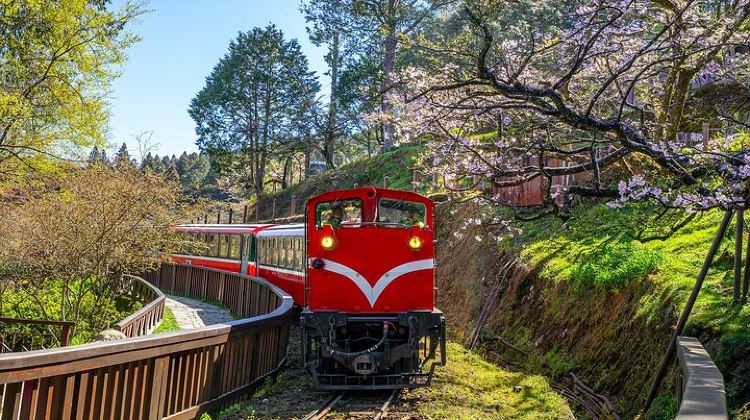 3-Day Exclusive 3-Day Sun Moon Lake & Alishan Private Tour