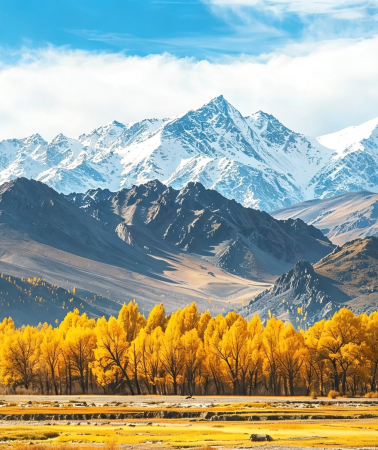 5D4N • Xinjiang Northern Xinjiang · Small Group of 6 · 1+1 First Class · In-Depth Altay Tour: Kanas Scenic Area + Baihaba Scenic Area + Hemu Scenic Area "Stay in Baihaba Scenic Area + Hemu Scenic Area" | Enjoy Jikepulin Powder Snow Skiing