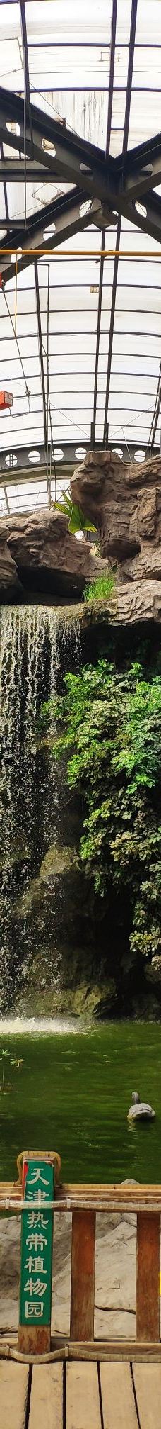 天津热带植物观光园-天津