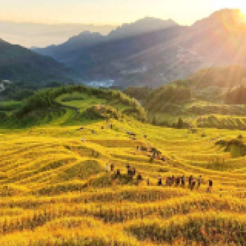 丽水3日2晚跟团游