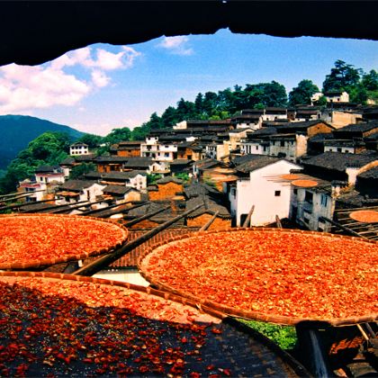 婺源篁岭+宏村景区2日1晚跟团游