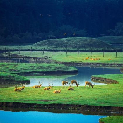 扬州+镇江+泰州5日4晚私家团