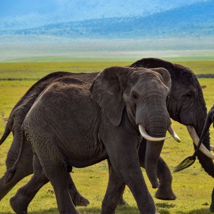 肯尼亚2日跟团游