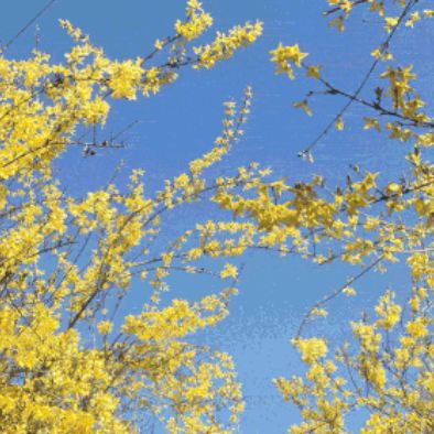 徒步·太行山大峡谷5日4晚跟团游