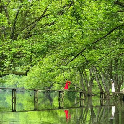 黄山+婺源+千岛湖+望仙谷+宏村+西递+徽州古城+西溪南古村落+新安江山水画廊8日7晚私家团