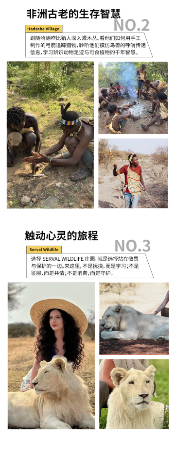 阿鲁沙