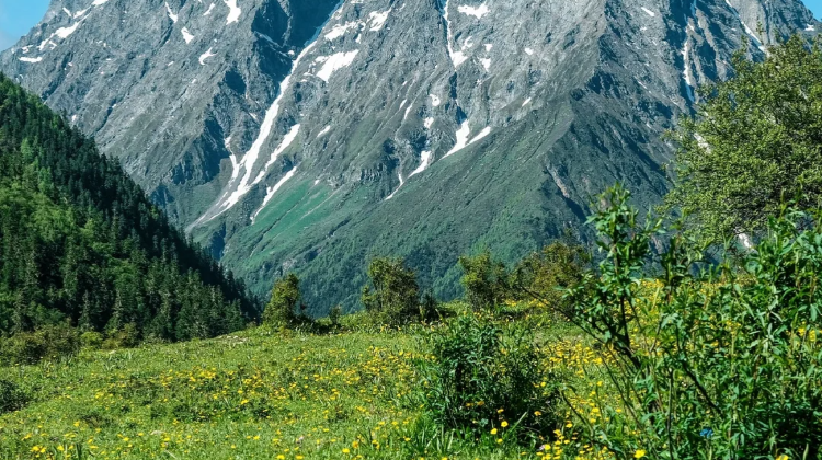 8-day 7-night · Private Tour · Chengdu + Daocheng Yading + Mount Siguniang + Moshi Park Scenic Area + Yuzixi + Xinduqiao Town