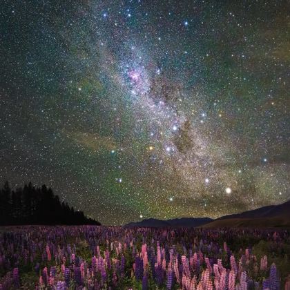 新西兰北岛+奥克兰+罗托鲁瓦+陶波7日5晚私家团