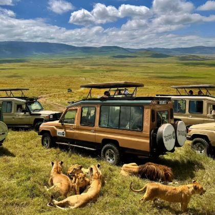 肯尼亚安波塞利国家公园+马赛马拉国家保护区10日9晚私家团
