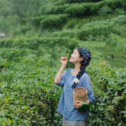 恩施市+神农架+恩施大峡谷8日7晚跟团游