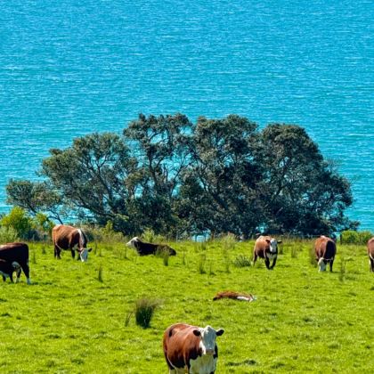 留尼汪（法属）3日2晚拼小团